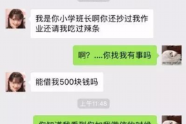 镇平融资清欠服务